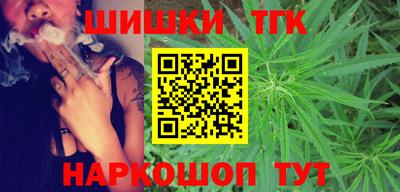 индика Заводоуковск