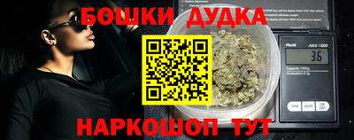 индика Заводоуковск