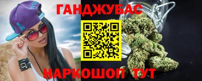 индика Заводоуковск