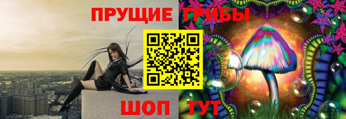 Галлюциногенные грибы Psilocybe  Вход с VPN  Псилоцибиновые грибы мухоморы  Кандалакша 